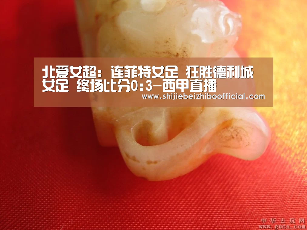 足球直播