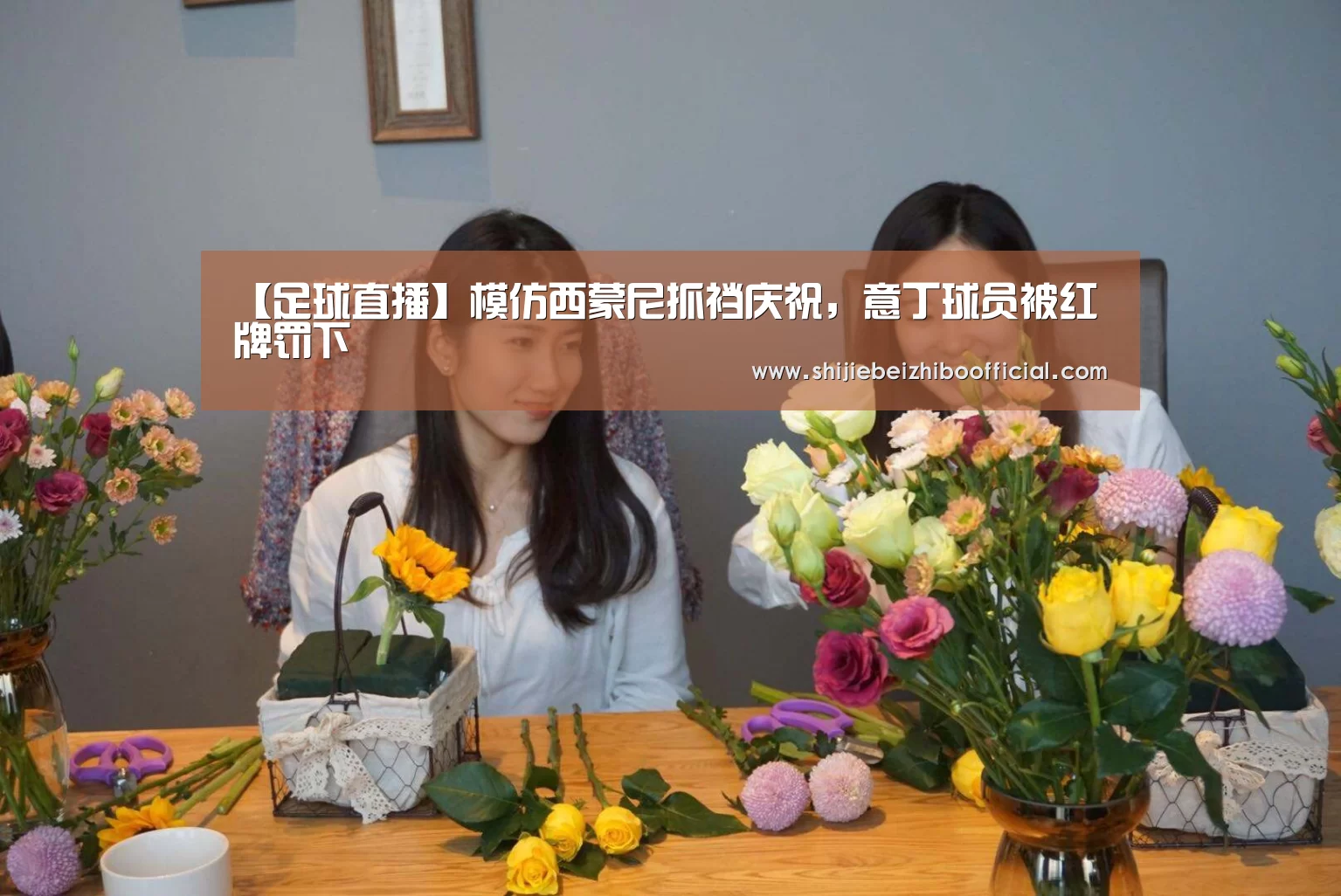 2026世界杯直播