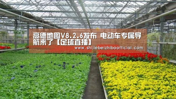 高德地图V8.2.6发布 电动车专属导航来了【足球直播】(图3) 西甲直播