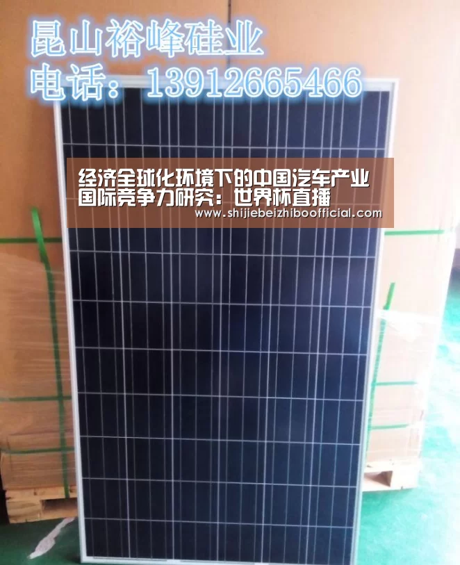 经济全球化环境下的中国汽车产业国际竞争力研究:世界杯直播(图3) 世界杯直播